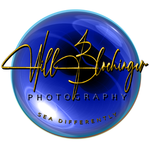Will Blochinger Photography logo